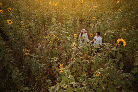 Sesje narzeczeńskie fotograf Śląsk Katowice