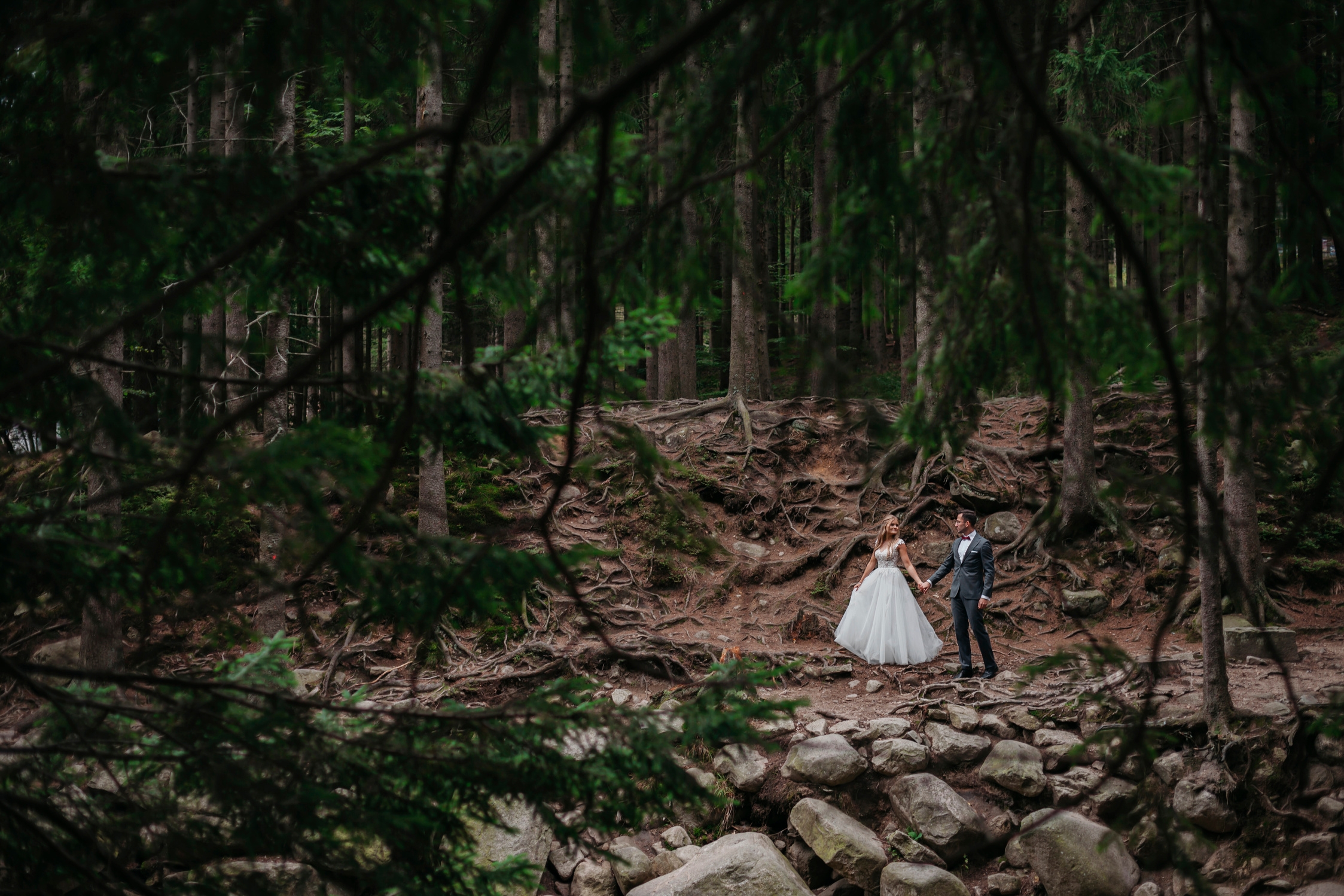 Pakiet Foto Mini cover